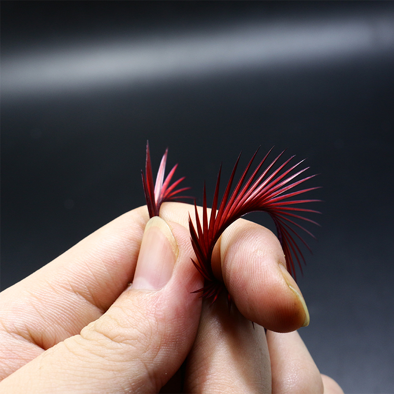 PERSUADER 20 pièces/sac Plumes - Fishing Lure Popper avis et prix